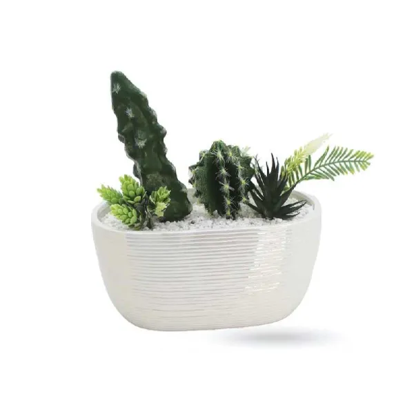 FGF Vaso In Ceramica Colore Bianco Con Piantina 25x15 Cm