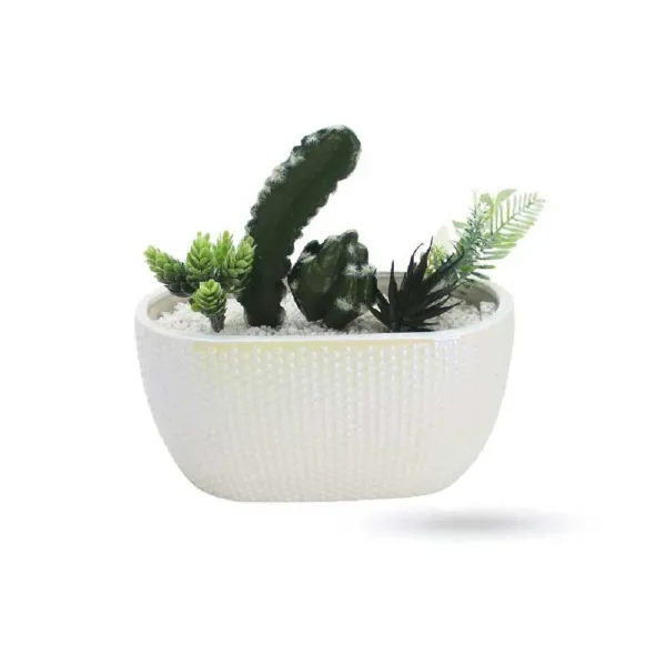 FGF Vaso In Ceramica Colore Bianco Con Piantina 25x15 Cm