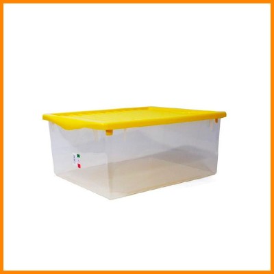 BOX 4 STAGIONI 56X39,5X25 CM