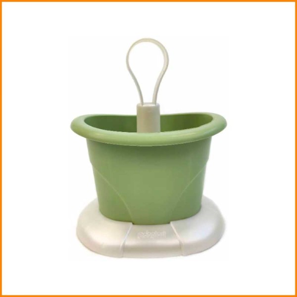 SCOLAPOSATE TULIPANO VERDE PALLIDO
