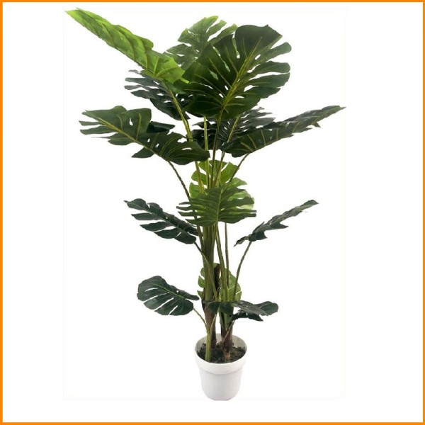 PIANTA MONSTERA BIG D.110XH150CM 56348