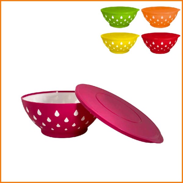 INSALATIERA IN PLASTICA CON COPERCHIO D.25 CM