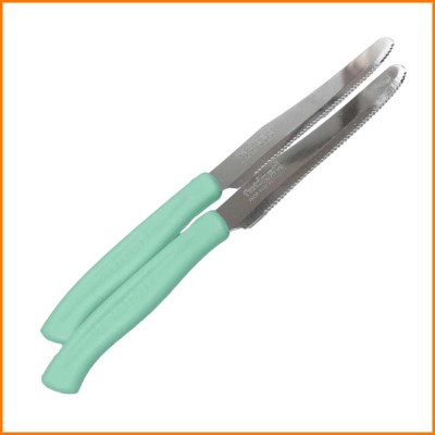 SET 6PZ COLTELLO DA TAVOLA...