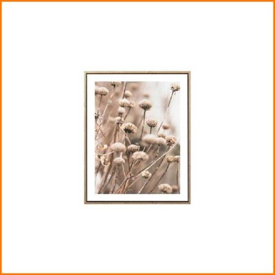 QUADRO CON CORNICE CAMPO DI...